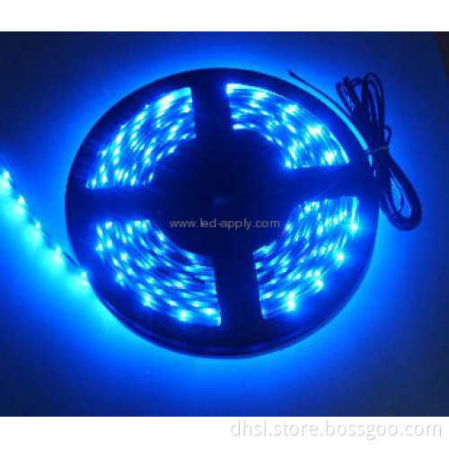 24V 120pcs smd3528 led strip light led per meter -2